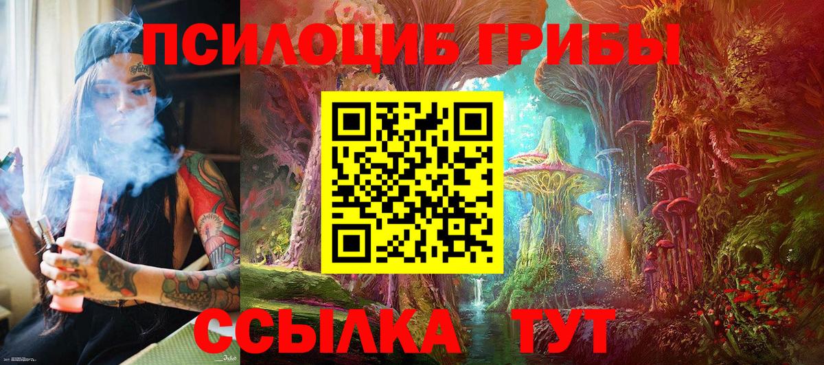 сколько стоит  Вход с VPN  Кирово-Чепецк  Псилоцибиновые грибы Cubensis 