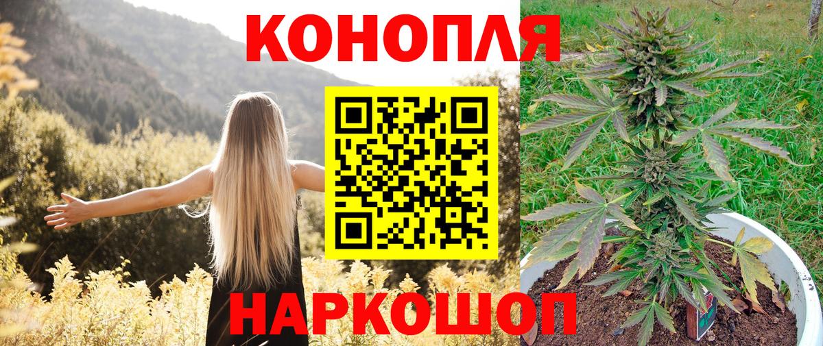 Конопля ГИДРОПОН  Конопля THC 21%  Кирово-Чепецк  Вход с VPN  МАРИХУАНА планчик  Шишки марихуана план 